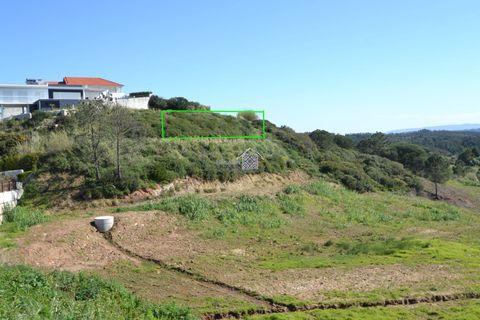 Helårsgrund i Alcobaca, Leiria, Alcobaca - € 400.000 | Ref: R1262 - foto 3