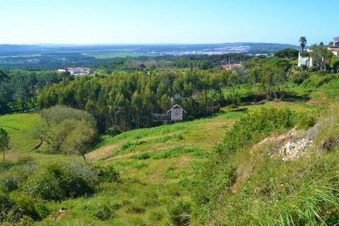 Helårsgrund i Alcobaca, Leiria, Alcobaca - € 400.000 | Ref: R1262 - foto 5
