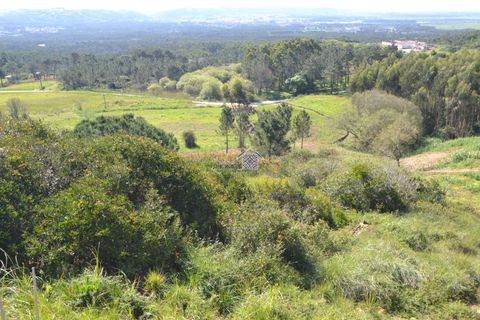 Helårsgrund i Alcobaca, Leiria, Alcobaca - € 400.000 | Ref: R1262 - foto 7