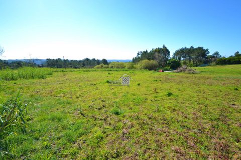 Helårsgrund i Alcobaca, Leiria, Alcobaca - € 400.000 | Ref: R1262 - foto 8
