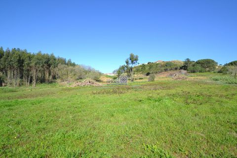 Helårsgrund i Alcobaca, Leiria, Alcobaca - € 400.000 | Ref: R1262 - foto 9