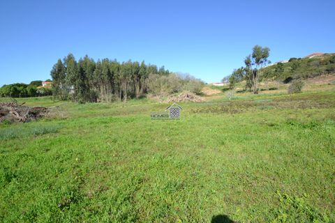 Helårsgrund i Alcobaca, Leiria, Alcobaca - € 400.000 | Ref: R1262 - foto 10
