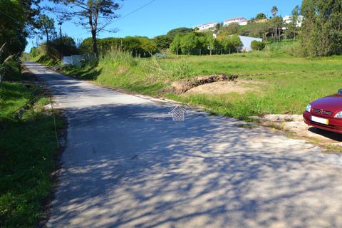 Helårsgrund i Alcobaca, Leiria, Alcobaca - € 400.000 | Ref: R1262 - foto 12