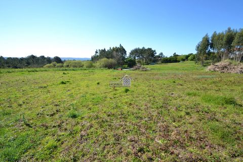 Helårsgrund i Alcobaca, Leiria, Alcobaca - € 400.000 | Ref: R1262 - foto 14