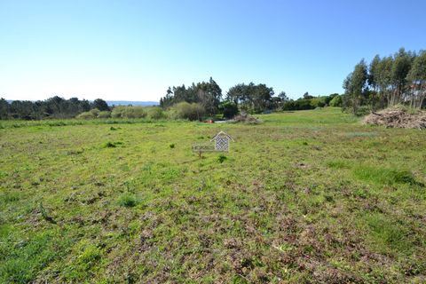 Helårsgrund i Alcobaca, Leiria, Alcobaca - € 400.000 | Ref: R1262 - foto 15