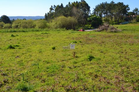 Helårsgrund i Alcobaca, Leiria, Alcobaca - € 400.000 | Ref: R1262 - foto 16
