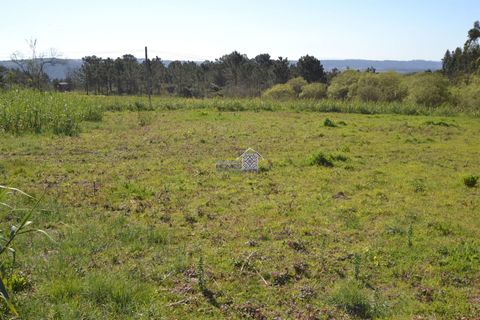 Helårsgrund i Alcobaca, Leiria, Alcobaca - € 400.000 | Ref: R1262 - foto 17