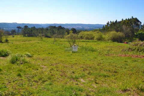 Helårsgrund i Alcobaca, Leiria, Alcobaca - € 400.000 | Ref: R1262 - foto 18