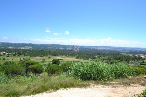 Helårsgrund i Alcobaca, Leiria, Alcobaca - € 120.000 | Ref: R1291 - foto 6