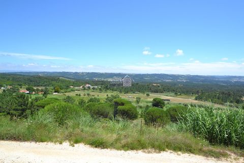 Helårsgrund i Alcobaca, Leiria, Alcobaca - € 120.000 | Ref: R1291 - foto 7