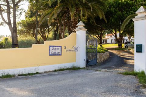 Landejendom i Alcobaca, Leiria, Alcobaca - € 1.000.000 | Ref: R1320 - foto 3