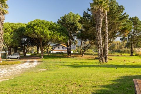 Landejendom i Alcobaca, Leiria, Alcobaca - € 1.000.000 | Ref: R1320 - foto 7