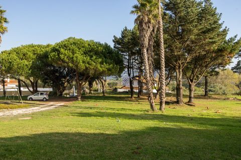 Landejendom i Alcobaca, Leiria, Alcobaca - € 1.000.000 | Ref: R1320 - foto 9