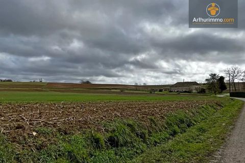 Tomt i Pardaillan, Lot-et-Garonne, Pardaillan - € 19 000 | Ref: D5110M - foto 2