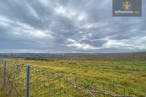 Helårsgrund i Pellegrue, Gironde, Pellegrue - € 28.000 | Ref: D4866M - foto 1