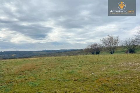 Helårsgrund i Pellegrue, Gironde, Pellegrue - € 28.000 | Ref: D4866M - foto 3