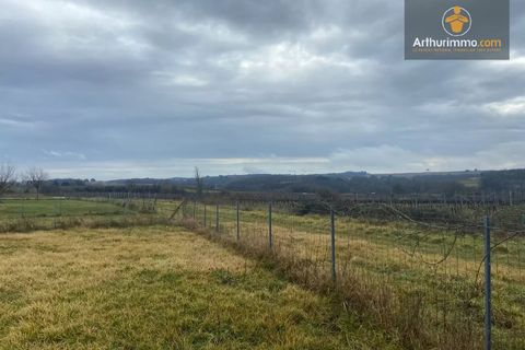 Helårsgrund i Pellegrue, Gironde, Pellegrue - € 28.000 | Ref: D4866M - foto 4