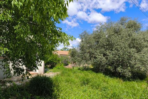Villa i Lezignan-Corbieres, Aude, Lezignan-Corbieres - € 194.000 | Ref: 447400SDUC - foto 11