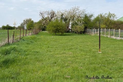 Villa i Arras, Pas-de-Calais, Arras - € 229 400 | Ref: 1033BBR - foto 15