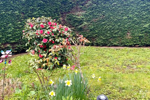 Villa en Roanne, Loire, Roanne - € 175.000 | Ref: 443039PPER - photo 8