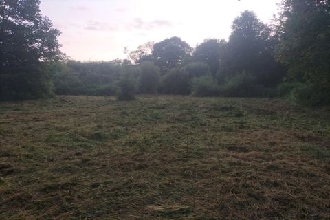 Grond in Saint-Guyomard, Morbihan, Saint-Guyomard - € 72.000 | Ref: 435199GMAG - foto 6