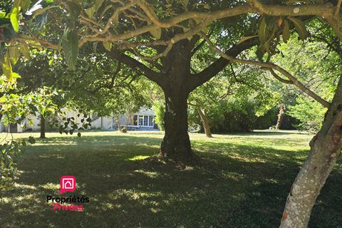 Haus in Ternay, Rhone, Ternay - € 730.000 | Ref: 456346AGAR - Foto 4