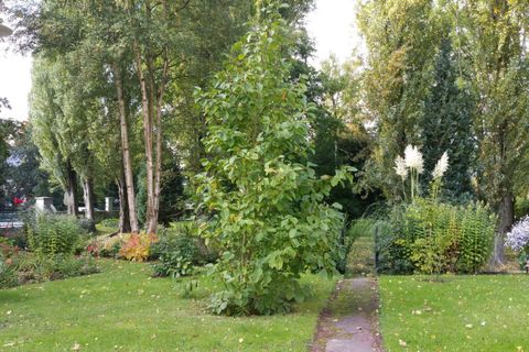 Lejlighed i Sainte-Catherine, Pas-de-Calais, Sainte-Catherine - € 147.000 | Ref: 456772JLEI - foto 13