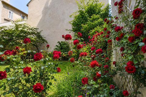 Wohnung in Nancy, Meurthe-et-Moselle, Nancy - € 335.000 | Ref: 4532591HMI - Foto 2