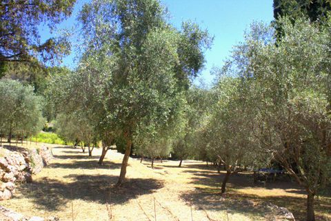 Villa a Peymeinade, Alpes-Maritimes, Peymeinade - € 1.600.000 | Ref: 41232219062026MSIL - foto 9