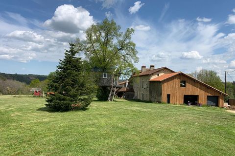 Villa i Jaure, Dordogne, Jaure - € 350.000 | Ref: 455525IRD - foto 18