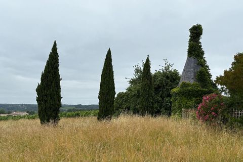 Villa em Massugas, Gironde, Massugas - € 1.150.000 | Ref: 455644SEDE - foto 8
