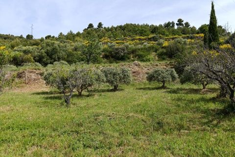 Tomt i Manosque, Alpes-de-Haute-Provence, Manosque - € 305 000 | Ref: 441966PAXHUM - foto 3