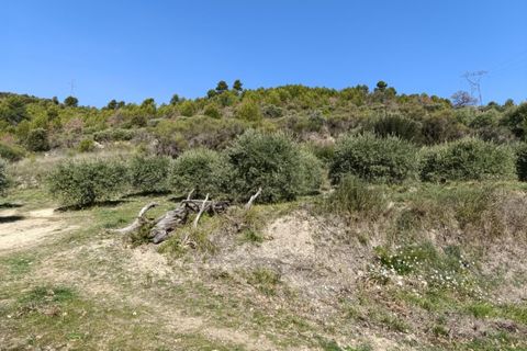 Tomt i Manosque, Alpes-de-Haute-Provence, Manosque - € 305 000 | Ref: 441966PAXHUM - foto 7