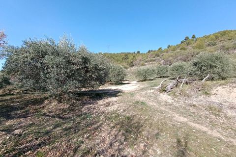Tomt i Manosque, Alpes-de-Haute-Provence, Manosque - € 305 000 | Ref: 441966PAXHUM - foto 8