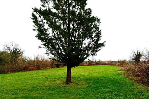 Farm hus i Beauregard, Lot, Beauregard - € 145.000 | Ref: 455279NTK - foto 13
