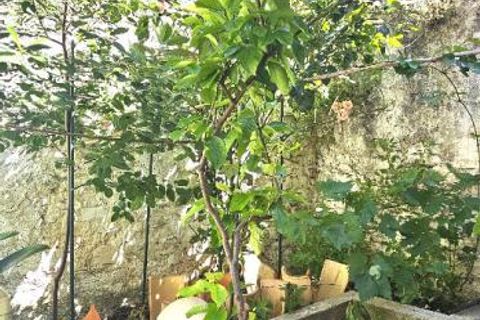 Villa a Couiza, Aude, Couiza - € 129.000 | Ref: 453753MUF - foto 14