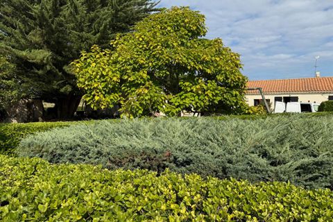 Villa i Saint-Georges-d'Oleron, Charente-Maritime, Saint-Georges-d'Oleron - € 350.000 | Ref: 423666LIG005LIG - foto 11