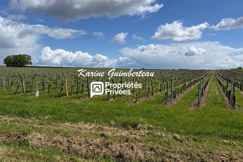 Helårsgrund i Lussac, Gironde, Lussac - € 65.000 | Ref: 454322KARG - foto 5