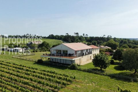 Villa a Saint-Palais, Gironde, Saint-Palais - € 375.000 | Ref: 451883ISIRSCL - foto 16