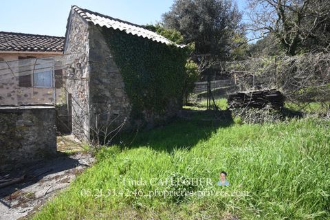 Villa i Olargues, Herault, Olargues - € 290.000 | Ref: 436140LCA - foto 16