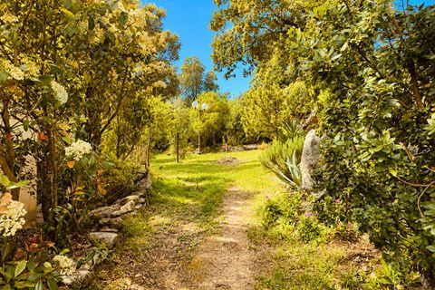 Villa i Porto-Vecchio, Corse-du-Sud, Porto-Vecchio - € 980.000 | Ref: 450050VGIL - foto 9