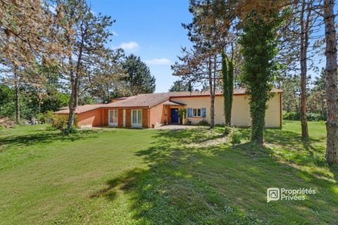 Villa en Bessens, Tarn-et-Garonne, Bessens - € 358.000 | Ref: 445687SDID - photo 3