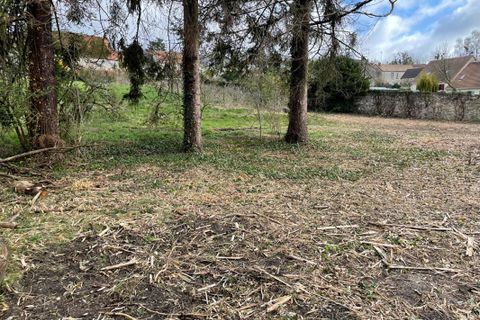 Terra a Neuilly-Saint-Front, Aisne, Neuilly-Saint-Front - € 62.000 | Ref: 443076DCADCINV - foto 7