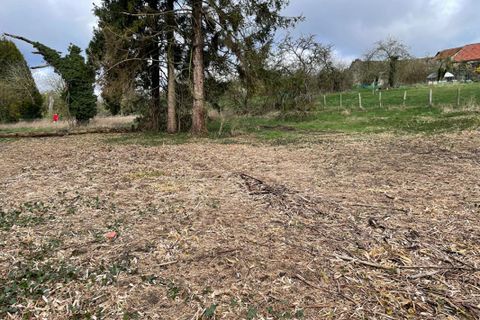 Terra a Neuilly-Saint-Front, Aisne, Neuilly-Saint-Front - € 62.000 | Ref: 443076DCADCINV - foto 11