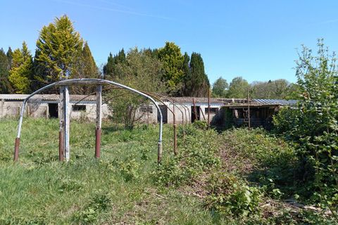 Villa i Le Faouet, Morbihan, Le Faouet - € 218 400 | Ref: 448769NLD - foto 17