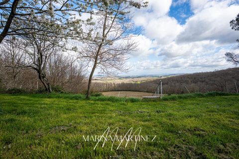 Villa i Limoux, Aude, Limoux - € 870.000 | Ref: 442589MAMA - foto 17