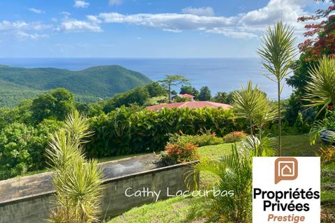 Tomt i Pointe-Noire, Guadeloupe, Pointe-Noire - € 215 000 | Ref: 445616CLAC - foto 6