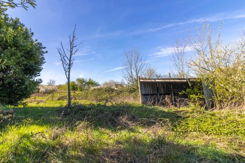 Villa em Genouilly, Cher, Genouilly - € 59.990 | Ref: 445849GUT - foto 16