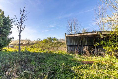 Villa em Genouilly, Cher, Genouilly - € 59.990 | Ref: 445849GUT - foto 17