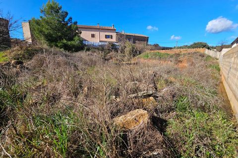 Tomt i Cébazan, Herault, Cébazan - € 110 000 | Ref: 437739CBN..CBN - foto 2